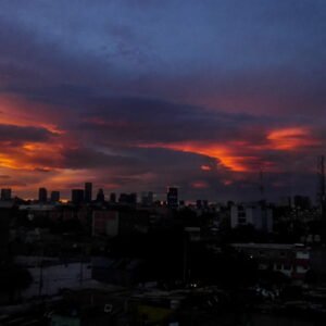 CDMX6