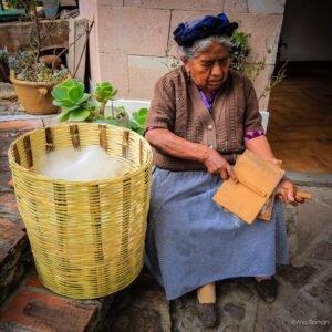 Oaxaca16