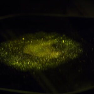 Texturas y luces6